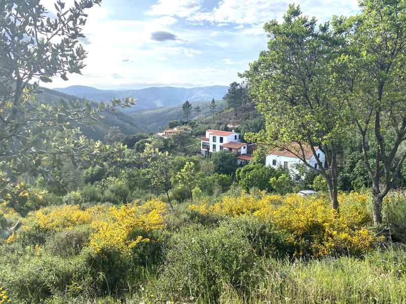 yoga retreat 2024 portugal our yoga retreat grounds