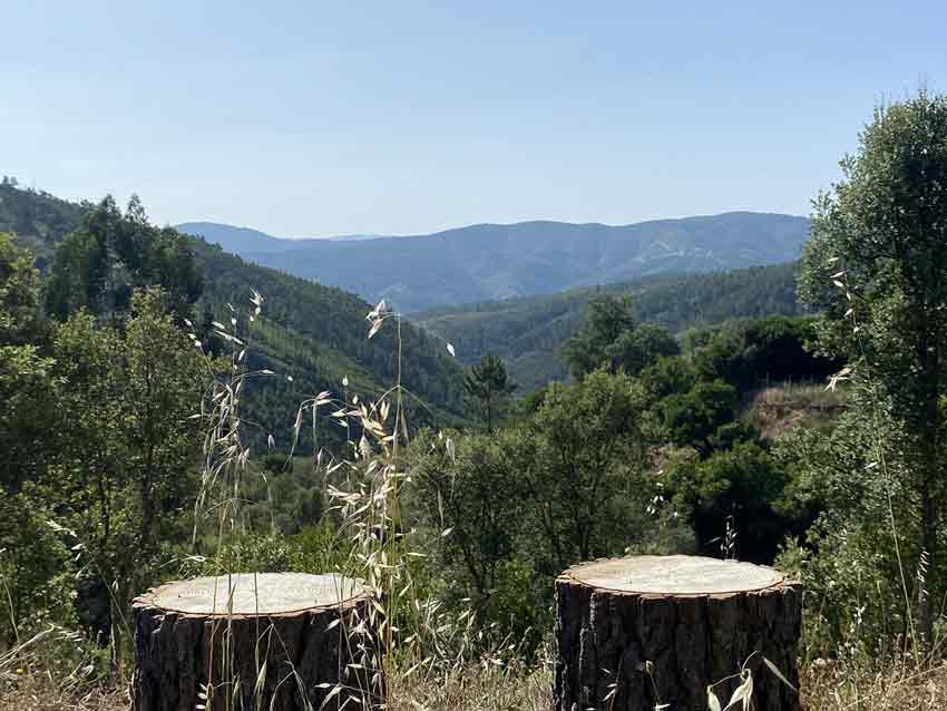 view of the valley