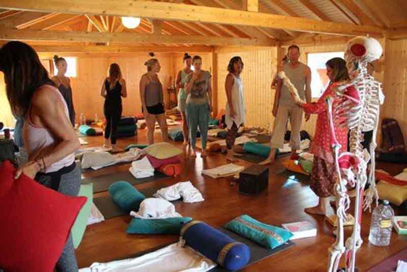 Yin Yoga Courses 2025