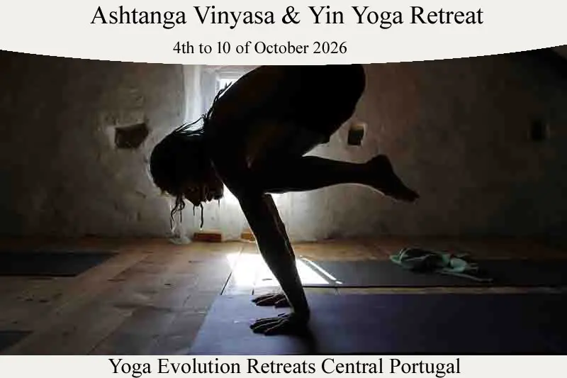 Ashtanga Yoga Retreat Europe 2026 picture of a demontration of the crow pose on our Ashtanga Yoga Retreat Europe 2026