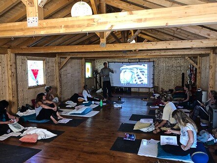 yin training course learn about bones