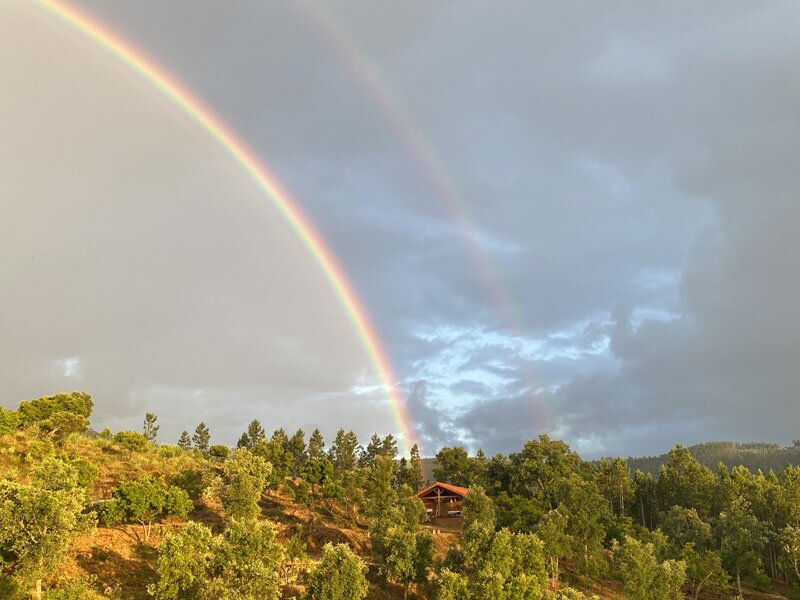 February yoga retreat 2026 February yoga retreat 2026