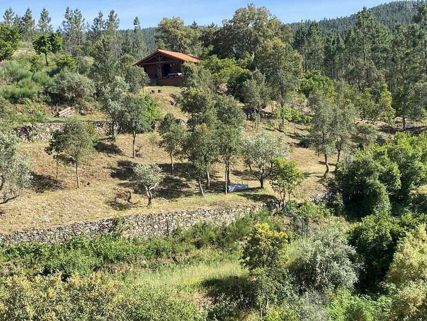 March Yoga Retreat 2026