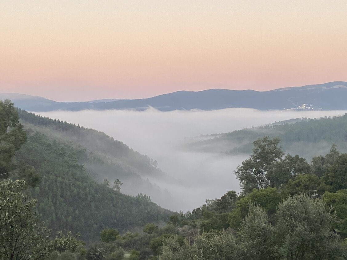 Volunteer on a yoga retreat portugal Volunteer on a yoga retreat portugal, picture of the misty valley