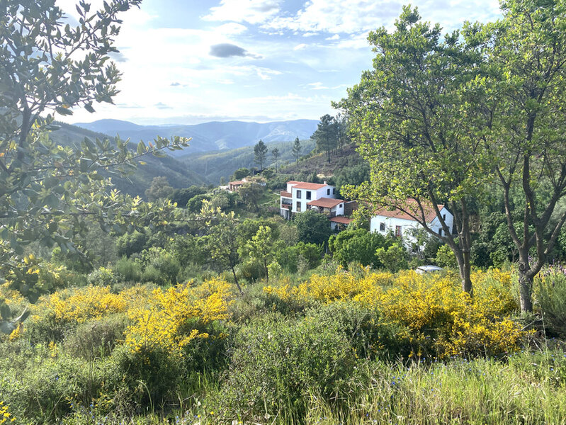 yoga retreat october 2026 autumn picture of the property showing all of the buildings and flowers