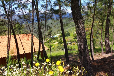Hire Yoga Retreat Venue