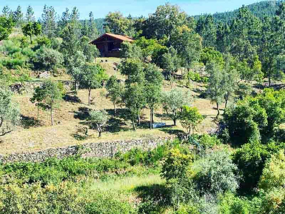 Yoga Retreat April 2024