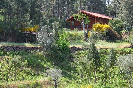 yoga retreats april