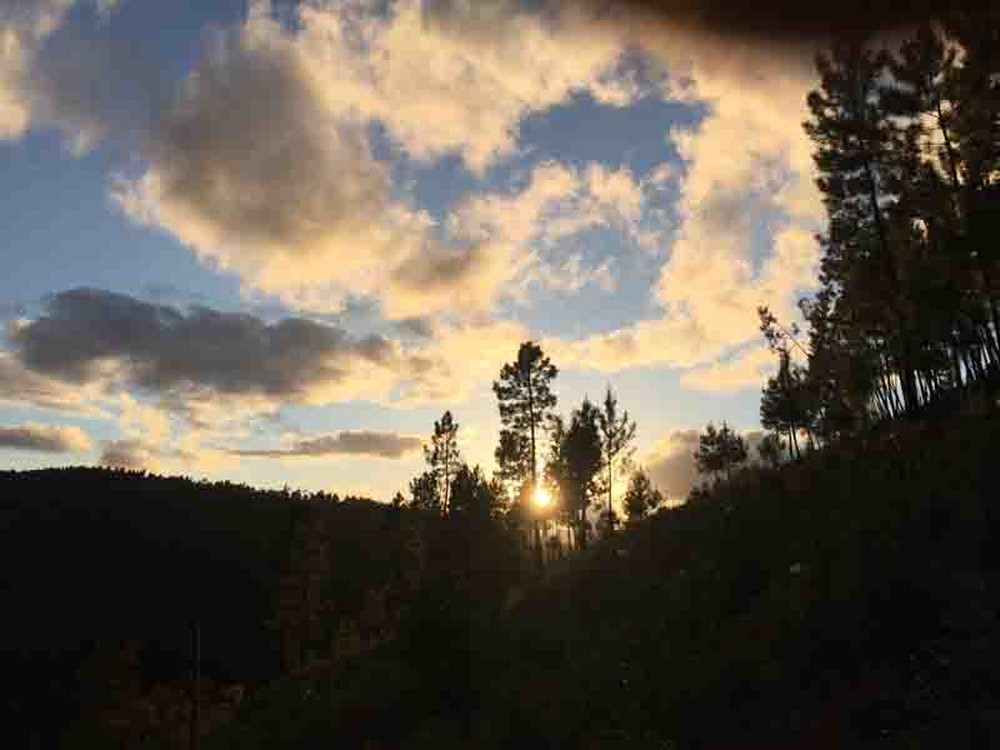 Yoga Retreat Holiday New Year 2025