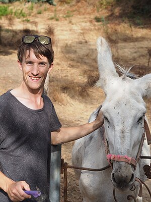 volunteer on a yoga retreat willow the donkey