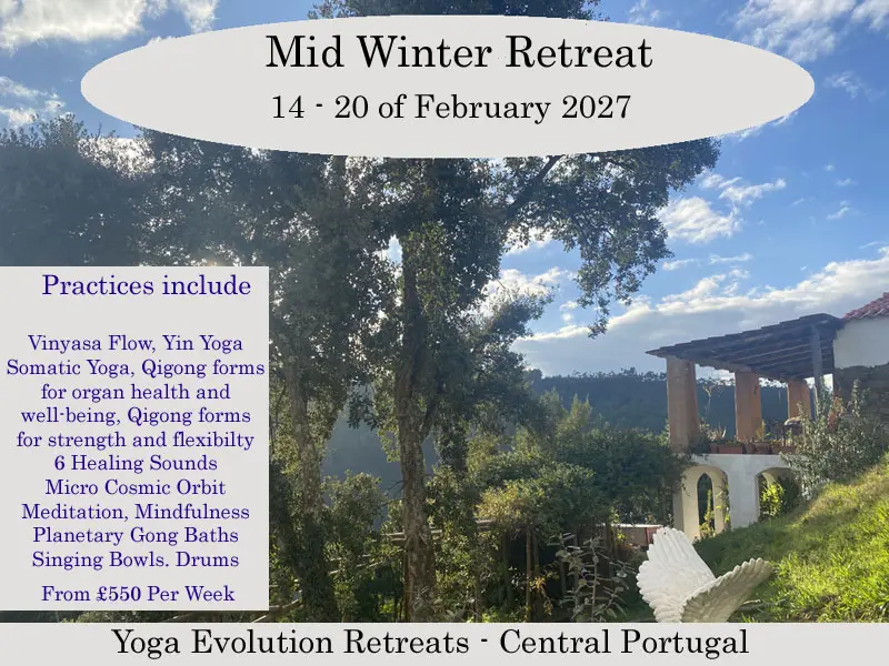 Yoga Retreat February 2027 View of the land and kitchen area with a blue sky on our Yoga Retreat February 2027
